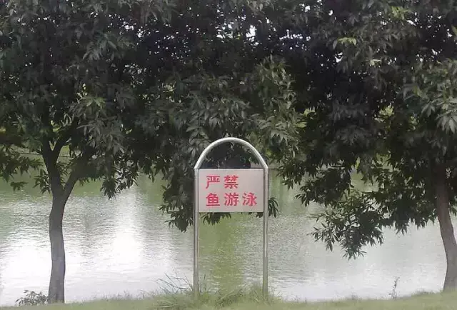 這一些沙雕標(biāo)識(shí)廣告標(biāo)語(yǔ)，讓我站路邊笑了半天停不下來(lái)23