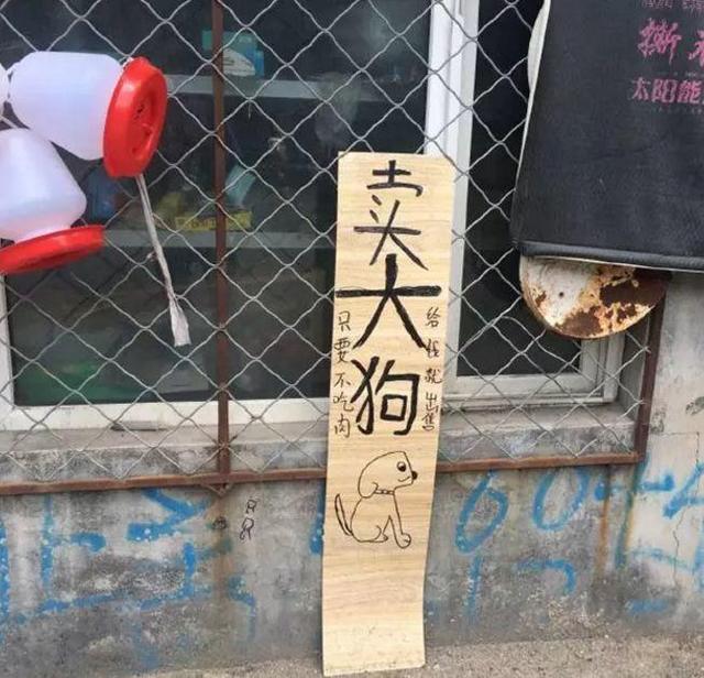 中國(guó)街頭廣告牌有多野？瞅瞅這些讓人笑掉大牙的牌子名20